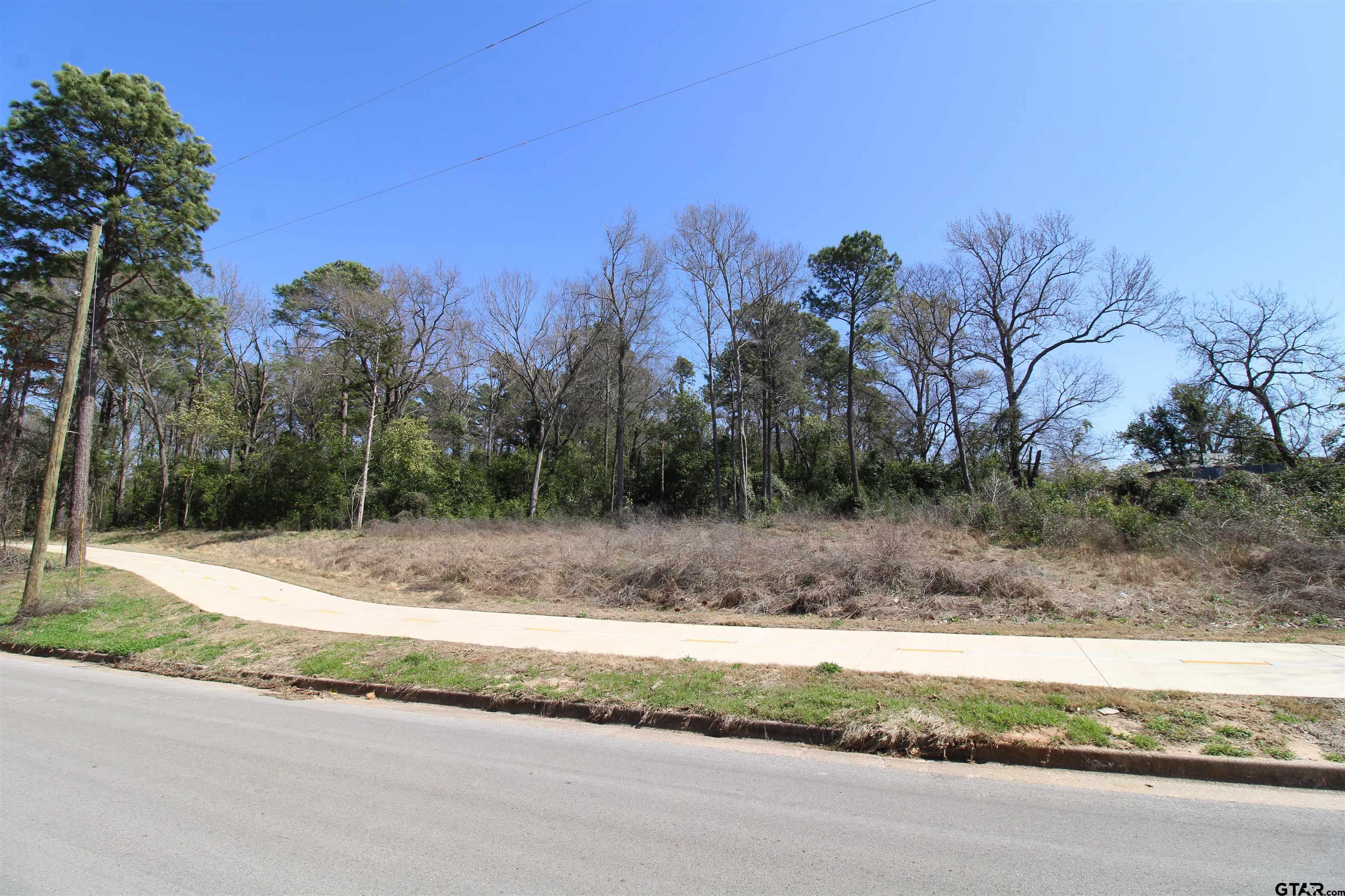 1102 South Peach Avenue Tyler, TX 75701 - Photo 6 of 8