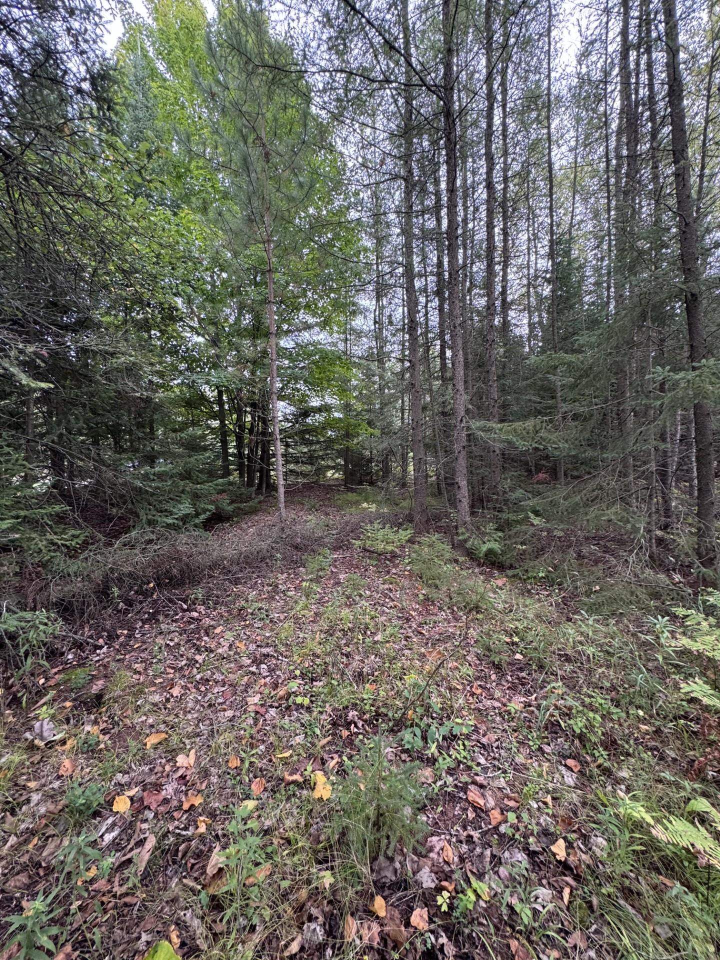 N6533 Miles Road Porterfield, WI 54159 - Photo 7 of 18 Gallery Image 7