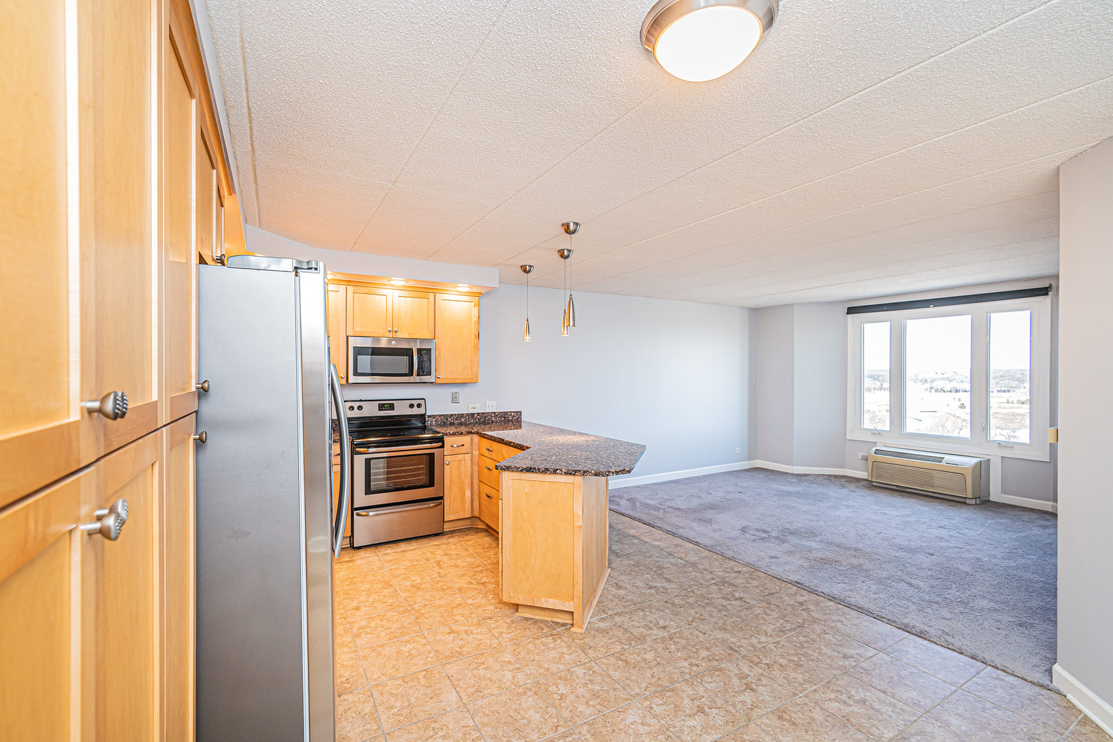 1 Renaissance Place, Unit 1114 Palatine, IL 60067 - Photo 11 of 37
