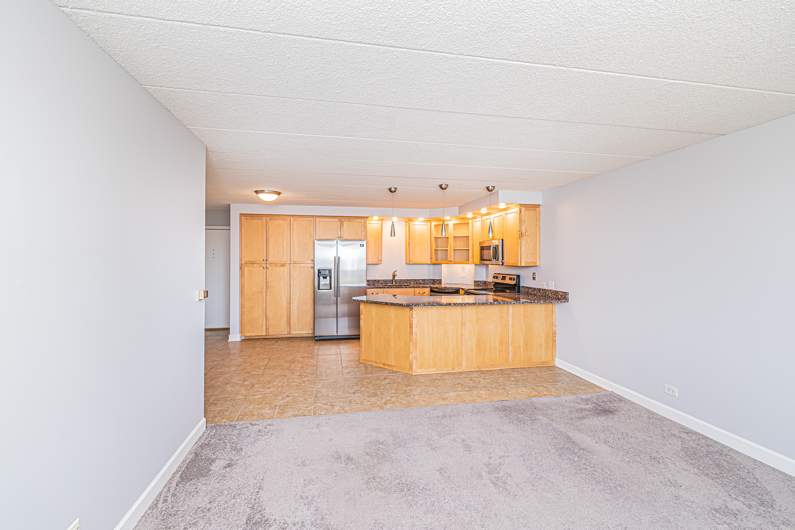 1 Renaissance Place, Unit 1114 Palatine, IL 60067 - Photo 14 of 37