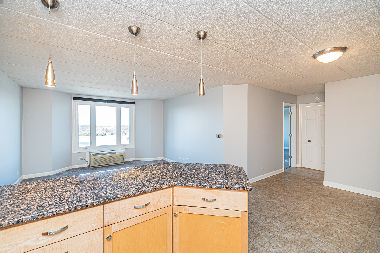 1 Renaissance Place, Unit 1114 Palatine, IL 60067 - Photo 16 of 37