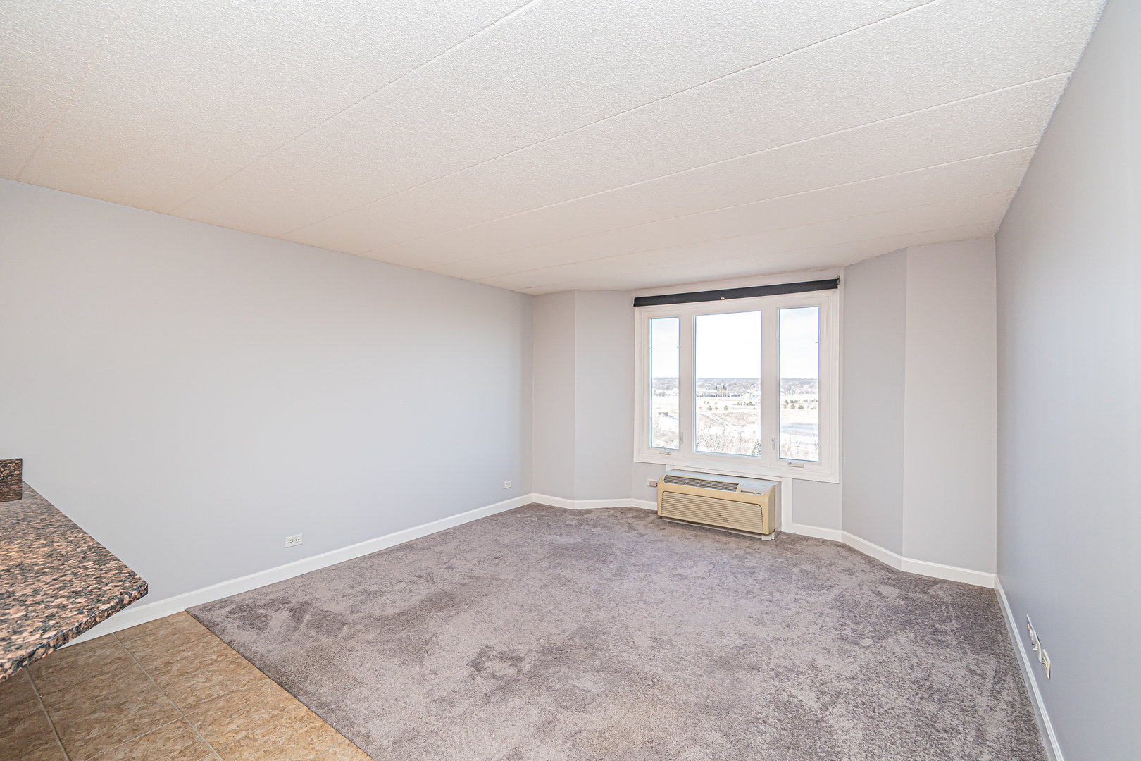 1 Renaissance Place, Unit 1114 Palatine, IL 60067 - Photo 17 of 37