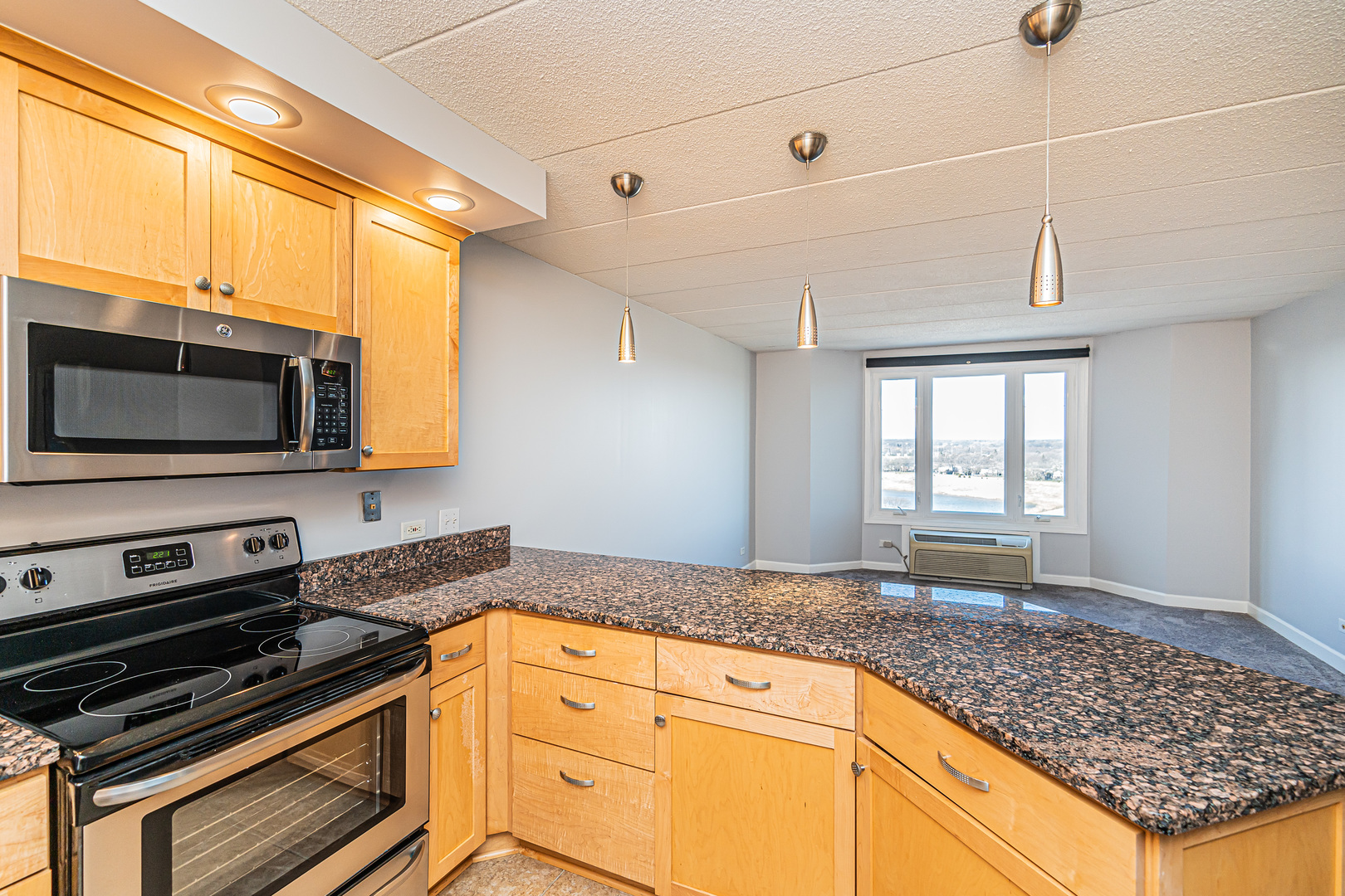 1 Renaissance Place, Unit 1114 Palatine, IL 60067 - Photo 7 of 37
