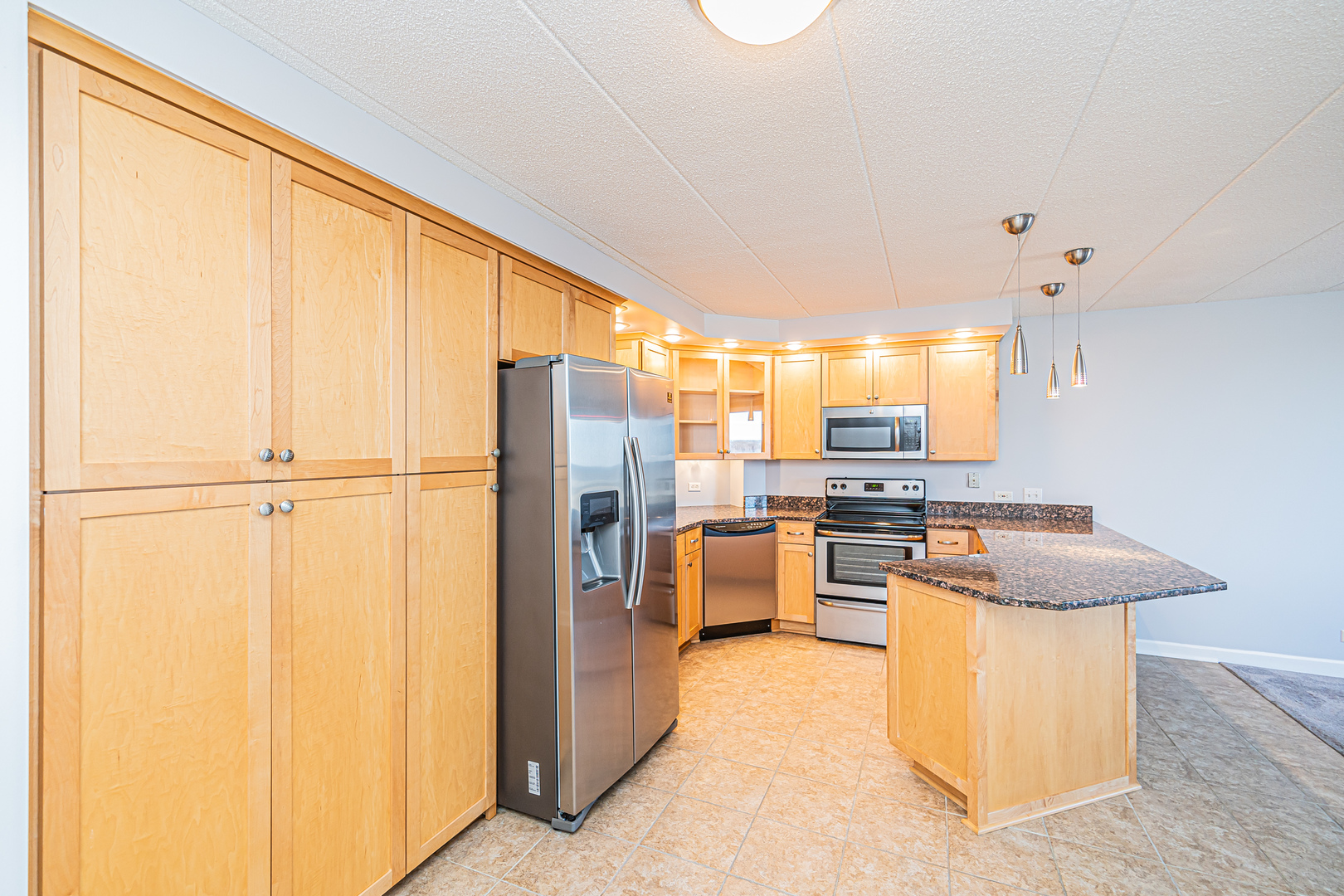 1 Renaissance Place, Unit 1114 Palatine, IL 60067 - Photo 10 of 37