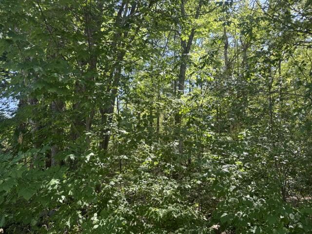 7-4 Station Road Bradford, ME 04410 - Photo 2 of 4 IMG_8885