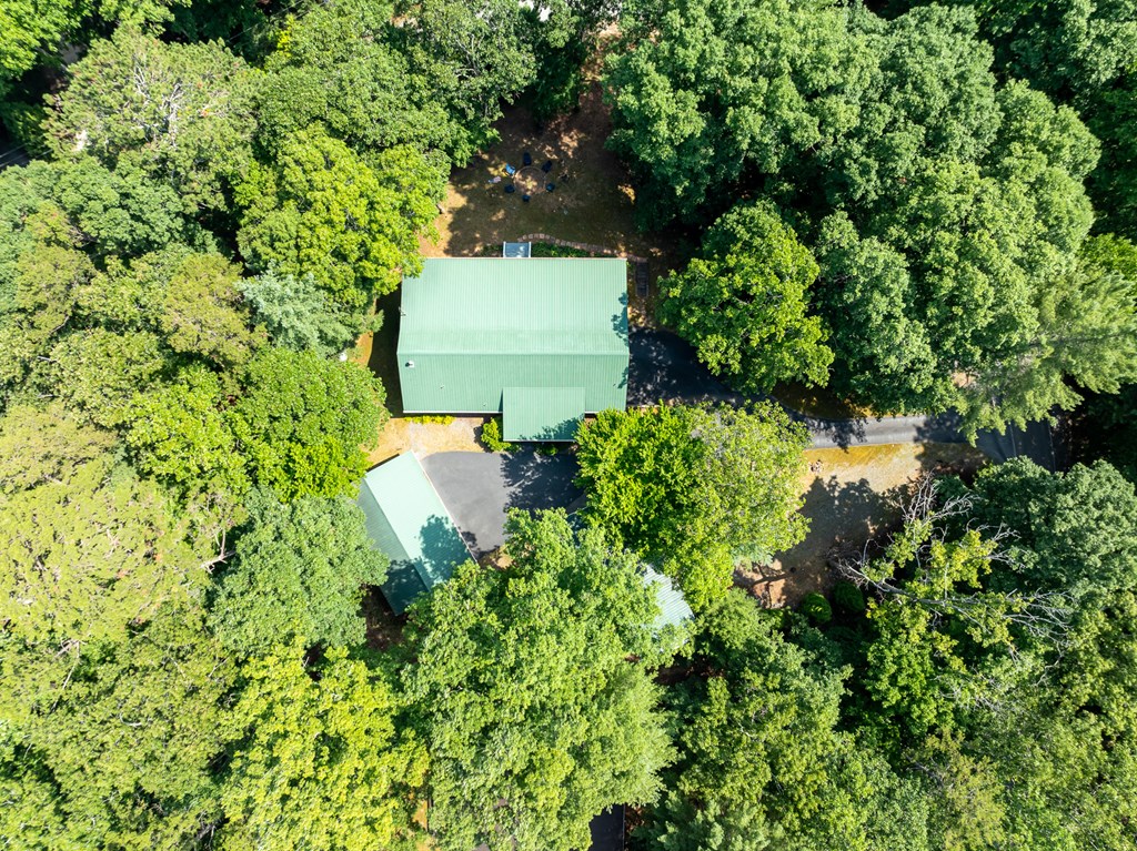 95 Morgan Way Ellijay, GA 30540 - Photo 13 of 61 Gallery Image 13