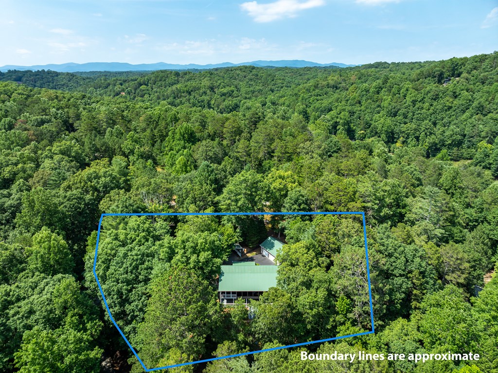 95 Morgan Way Ellijay, GA 30540 - Photo 14 of 61 Gallery Image 14