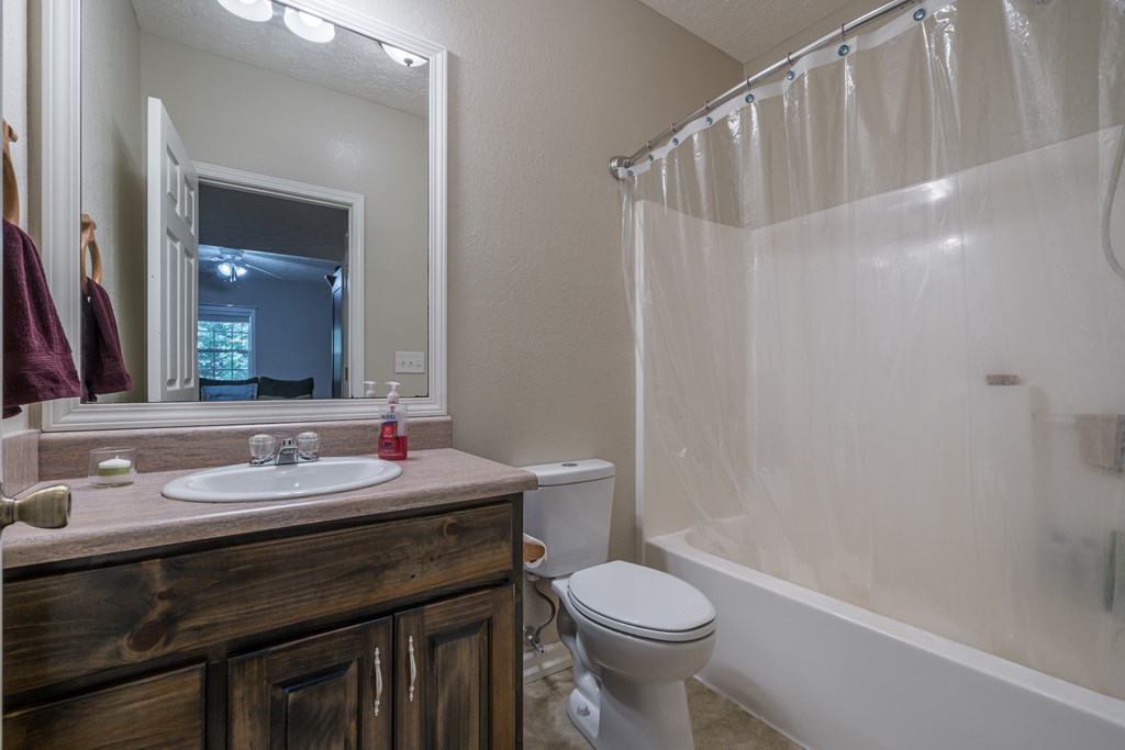 95 Morgan Way Ellijay, GA 30540 - Photo 49 of 61 basement bath