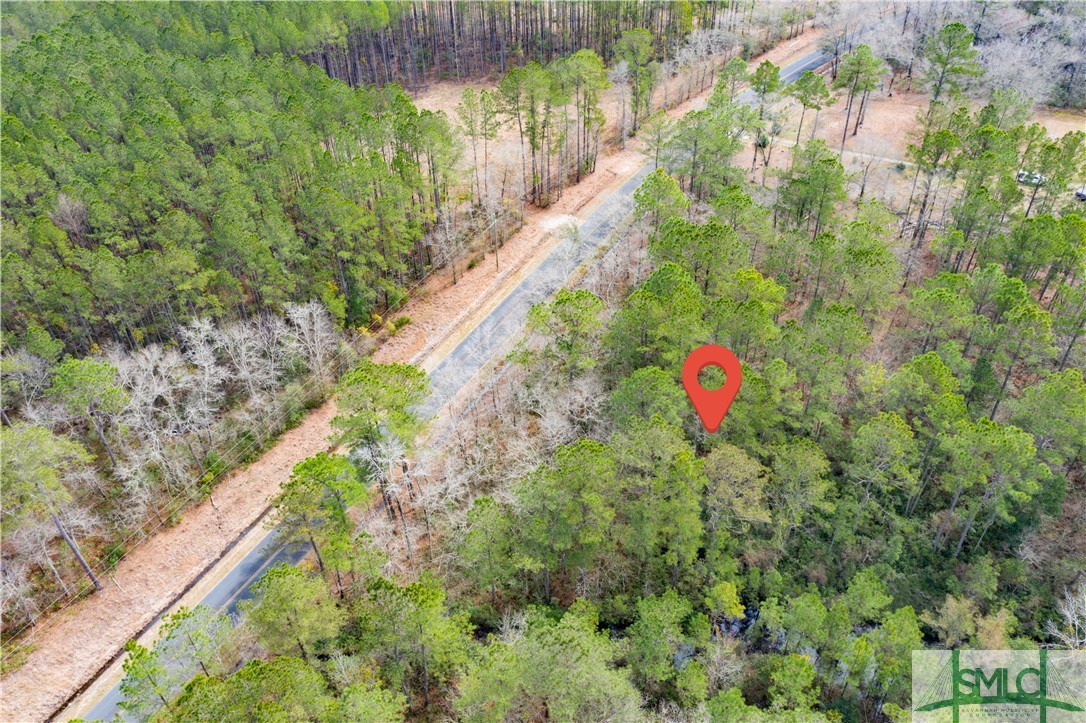 Lot 1 Langfordville Road Ridgeland, SC 29936 - Photo 3 of 10 Gallery Image 3