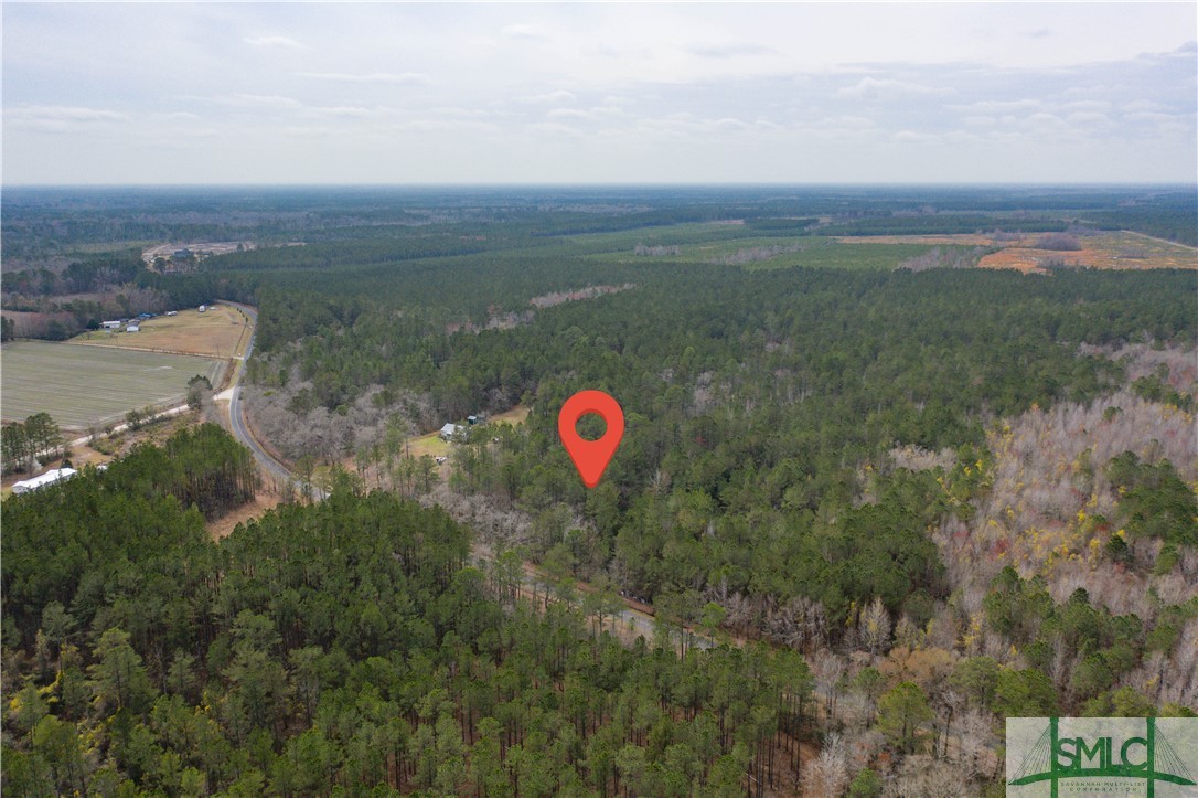 Lot 1 Langfordville Road Ridgeland, SC 29936 - Photo 4 of 10 Gallery Image 4