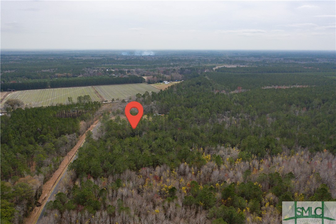 Lot 1 Langfordville Road Ridgeland, SC 29936 - Photo 5 of 10 Gallery Image 5