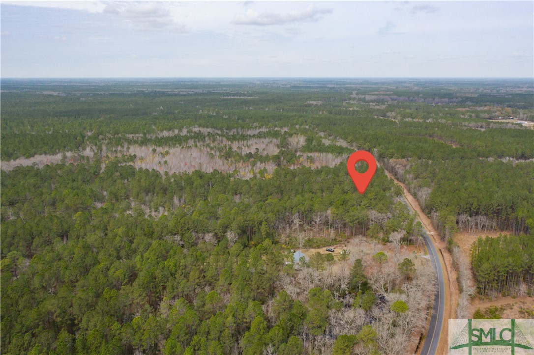 Lot 1 Langfordville Road Ridgeland, SC 29936 - Photo 7 of 10 Gallery Image 7