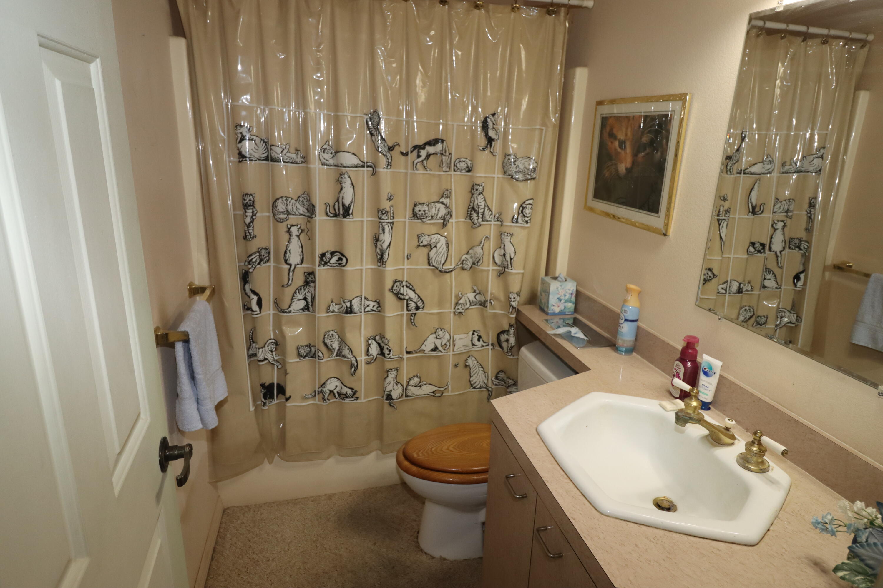 13578 Southwest 144th Parkway Okeechobee, FL 34974 - Photo 17 of 21 a bathroom with a sink toilet and shower