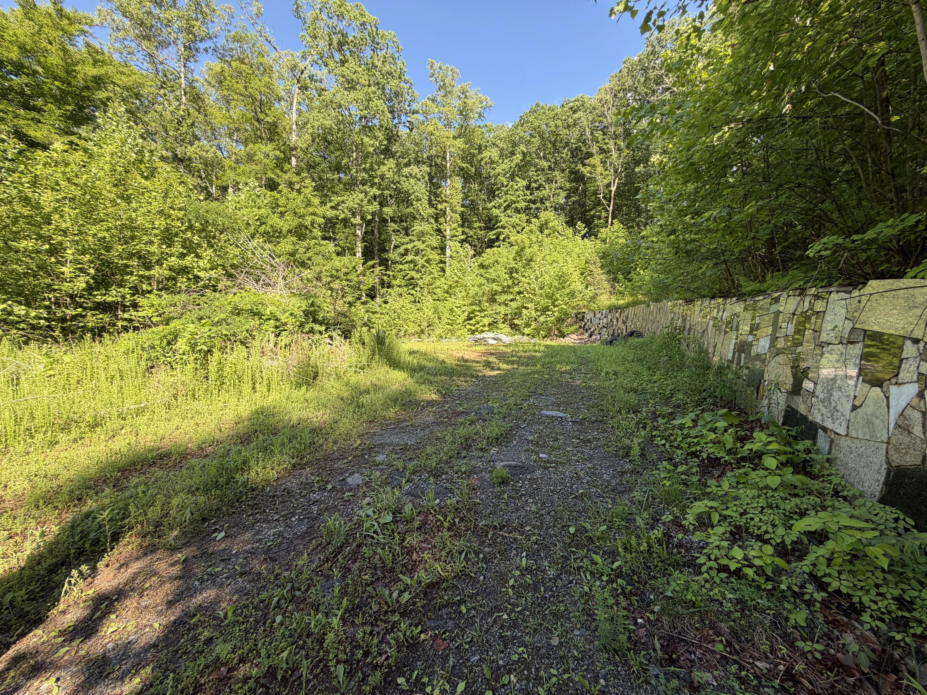 0 Lake Road Troutville, VA 24175 - Photo 5 of 18 a view of a garden