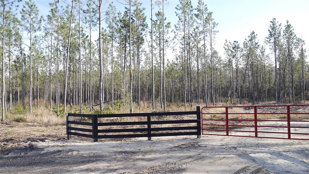 Lot 4 Griffin Road Callahan, FL 32011 - Photo 1 of 6 Gallery Image 1