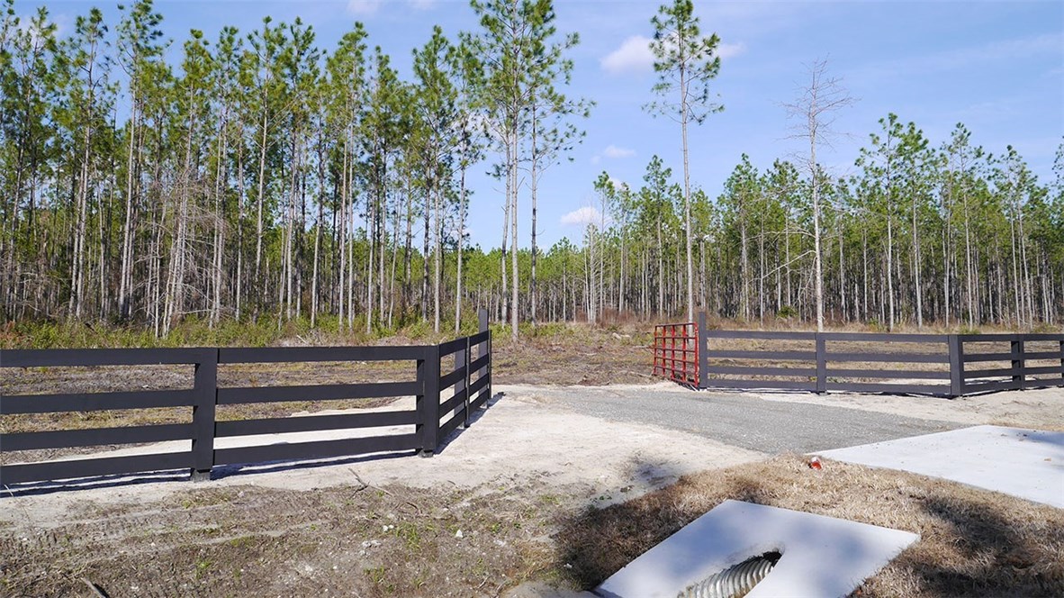 Lot 4 Griffin Road Callahan, FL 32011 - Photo 2 of 6 Gallery Image 2