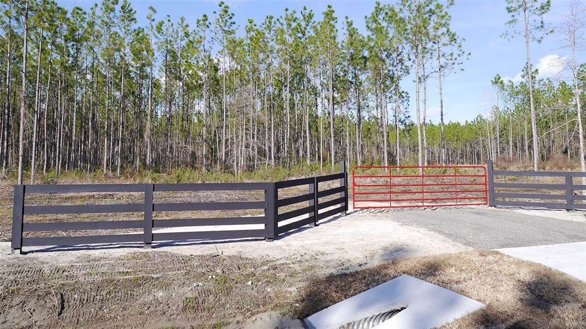 Lot 4 Griffin Road Callahan, FL 32011 - Photo 4 of 6 Gallery Image 4