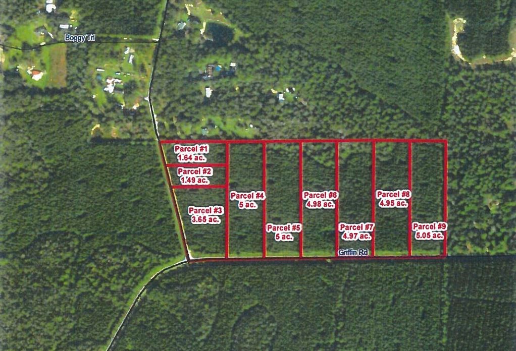 Lot 4 Griffin Road Callahan, FL 32011 - Photo 5 of 6 Gallery Image 5