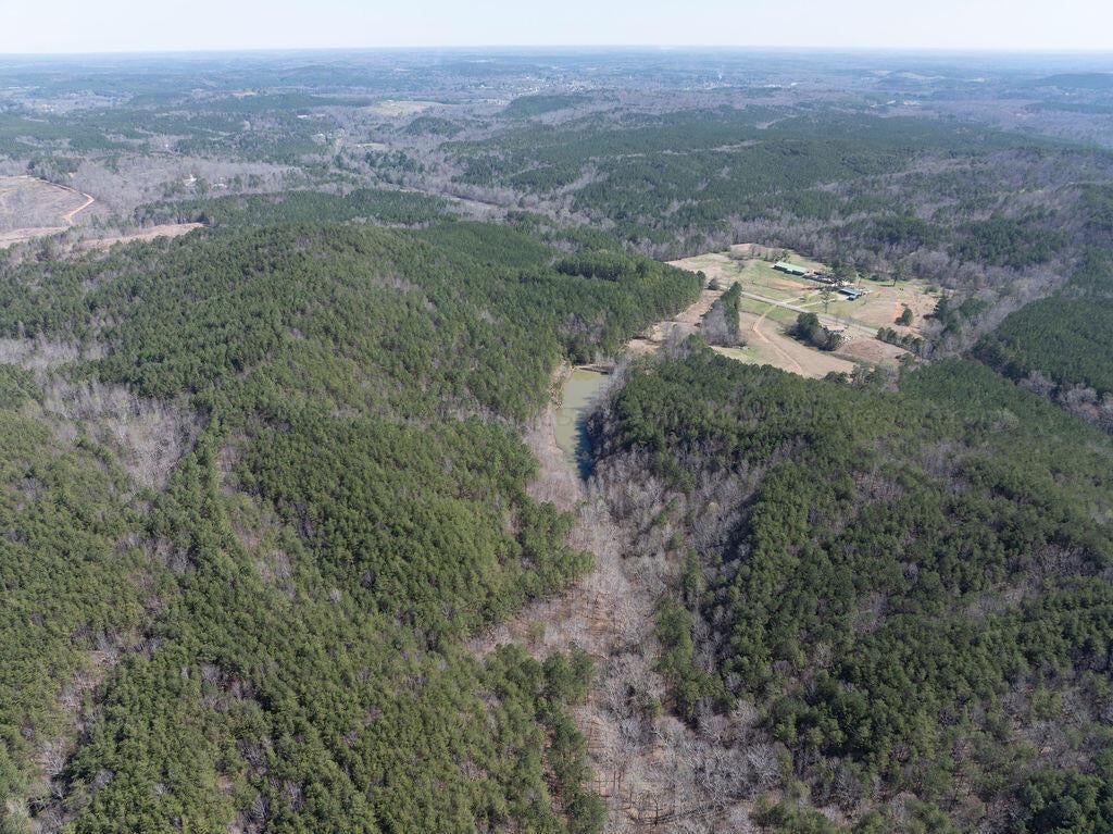 15201 Co Road Carbon Hill, AL 35549 - Photo 36 of 46 Gallery Image 36