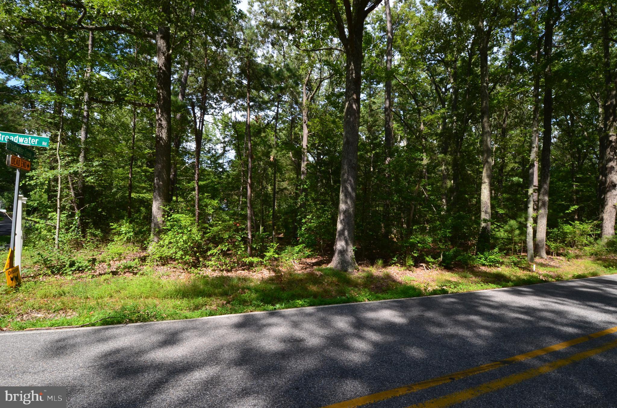 896 Broadwater Road Churchton, MD 20733 - Photo 1 of 15 Gallery Image 1
