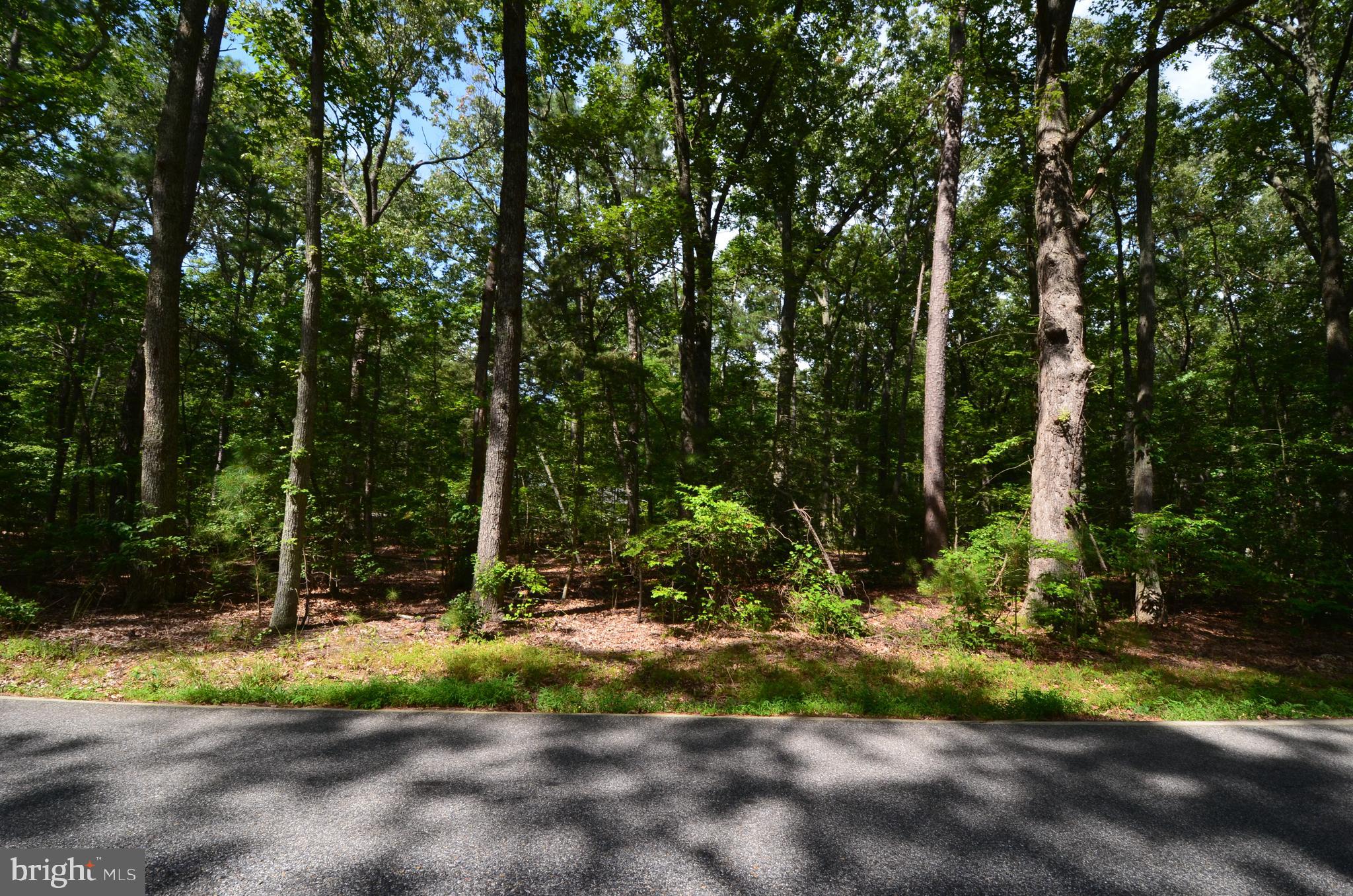 896 Broadwater Road Churchton, MD 20733 - Photo 2 of 15 Gallery Image 2