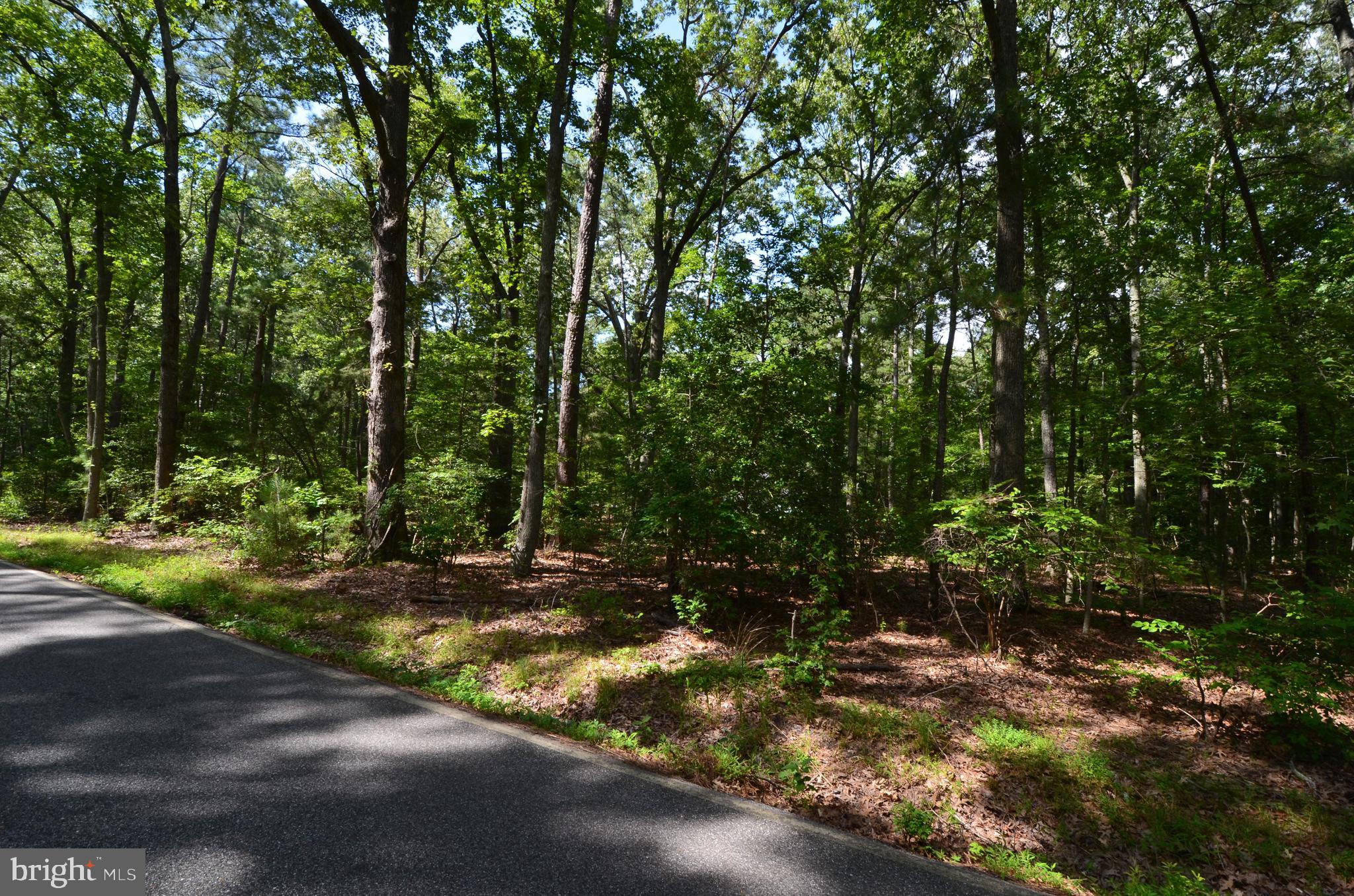 896 Broadwater Road Churchton, MD 20733 - Photo 4 of 15 Gallery Image 4