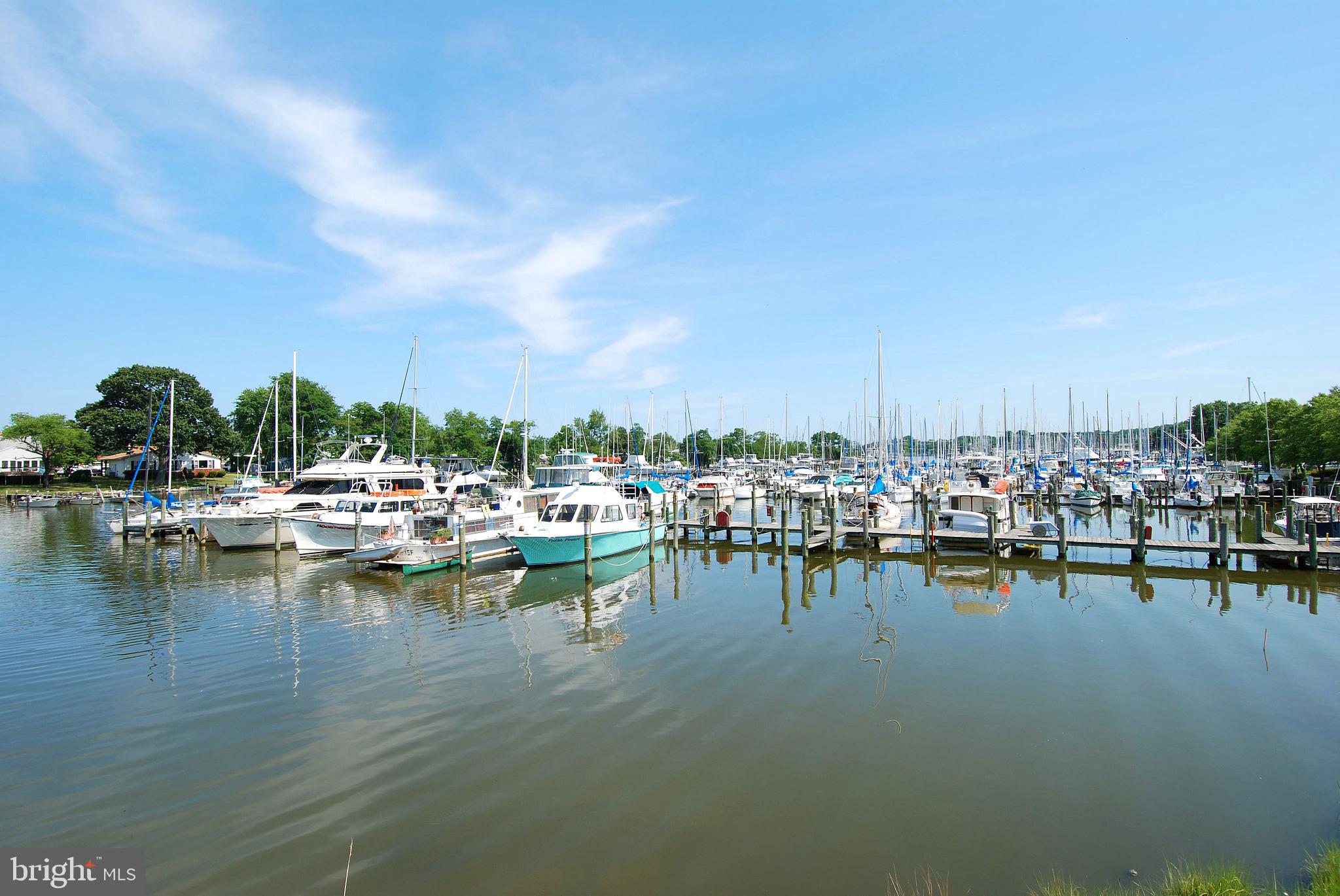 896 Broadwater Road Churchton, MD 20733 - Photo 8 of 15 Local waterways