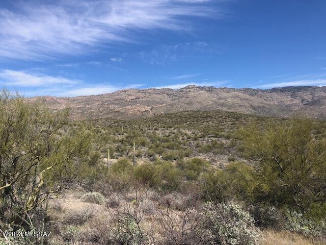 East Rincon Creek Ranch Road, Unit C Tucson, AZ 85747 - Photo 7 of 12 Gallery Image 7