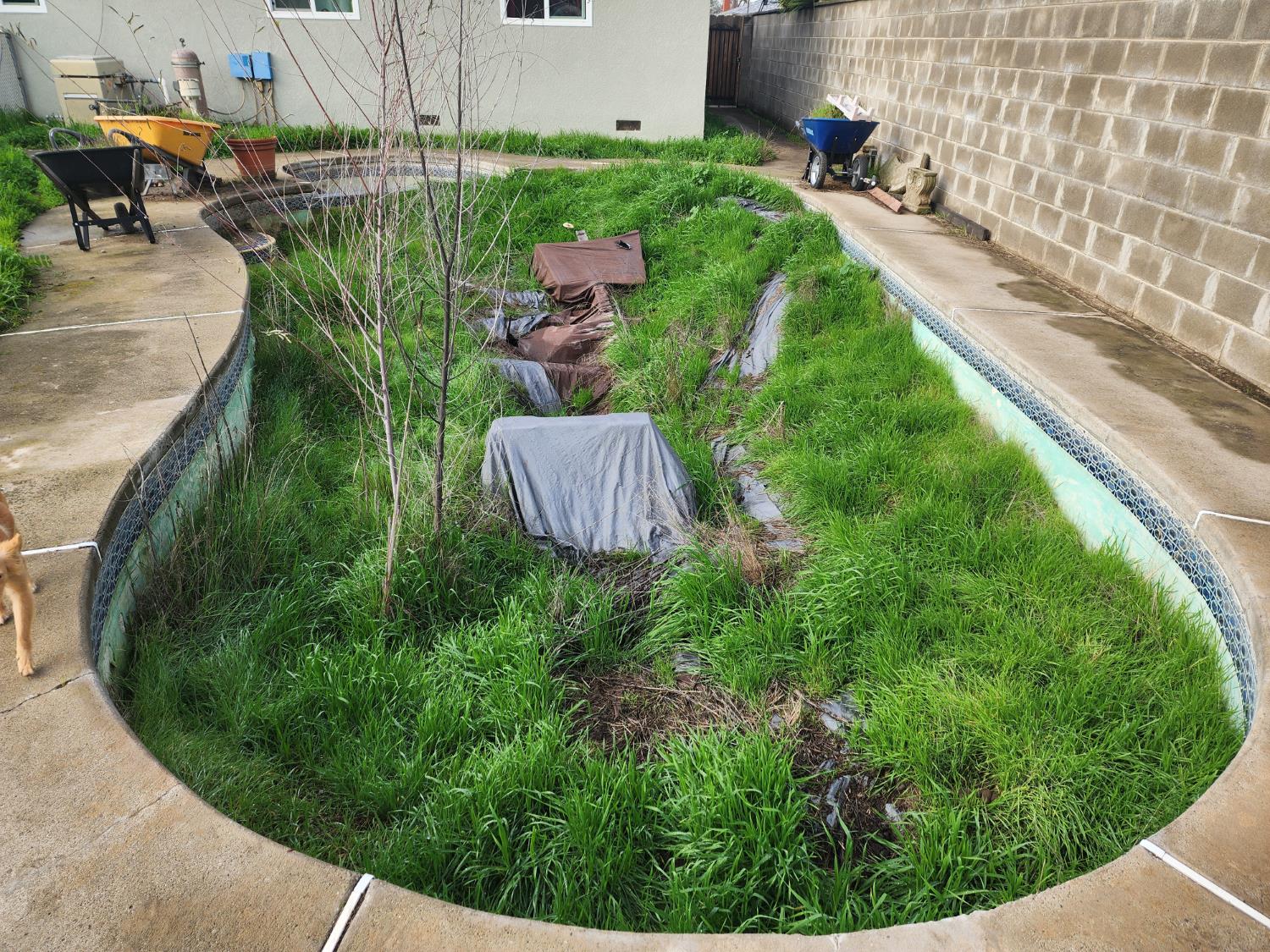 2006 Norman Way Modesto, CA 95350 - Photo 28 of 34