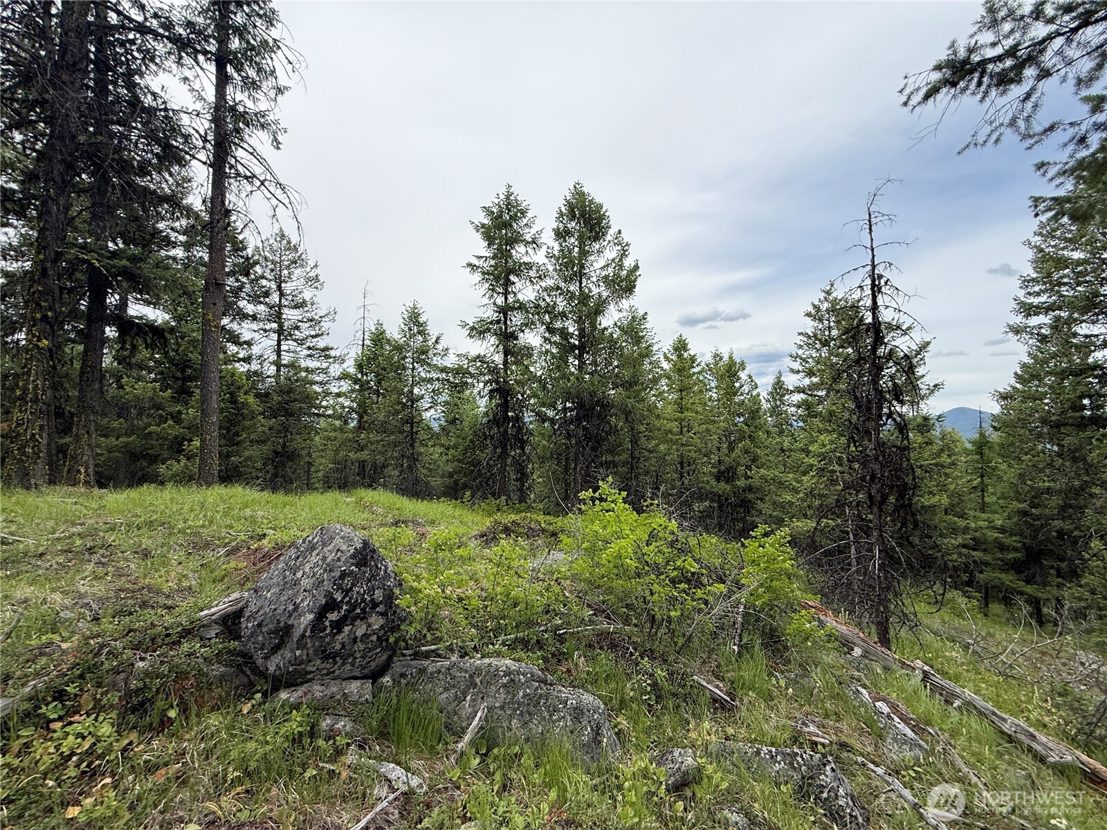 0 Mule Deer Road Republic, WA 99166 - Photo 20 of 20