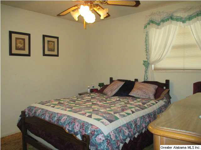 9258 Tingle Cutoff Road Dora, AL 35062 - Photo 13 of 28