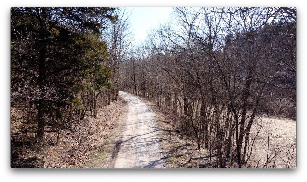 0 Washington Branch Road Owingsville, KY 40360 - Photo 12 of 20 13