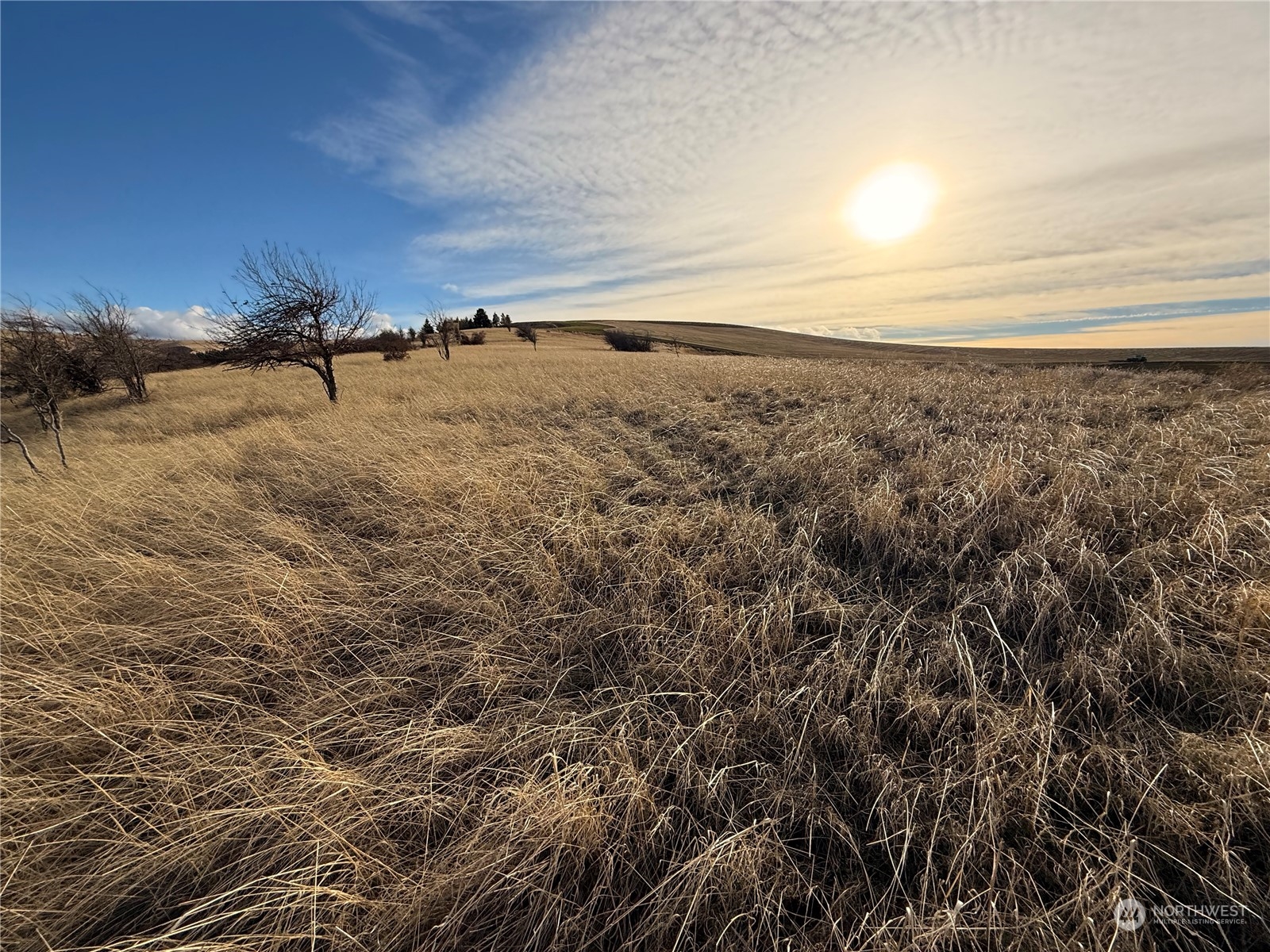 -tbd Tbd Ring Canyon Road Dayton, WA 99328 - Photo 12 of 17 Gallery Image 12