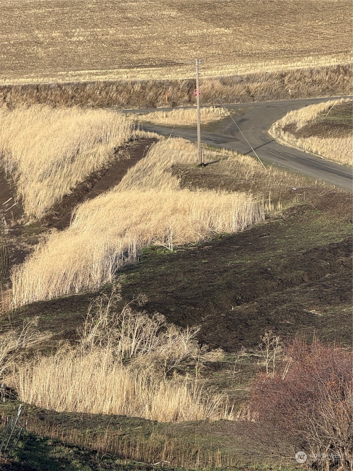 -tbd Tbd Ring Canyon Road Dayton, WA 99328 - Photo 13 of 17 Gallery Image 13