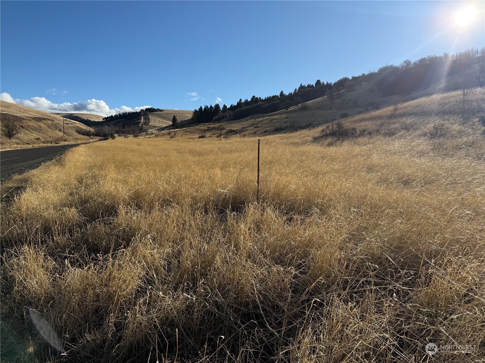 -tbd Tbd Ring Canyon Road Dayton, WA 99328 - Photo 14 of 17 Gallery Image 14