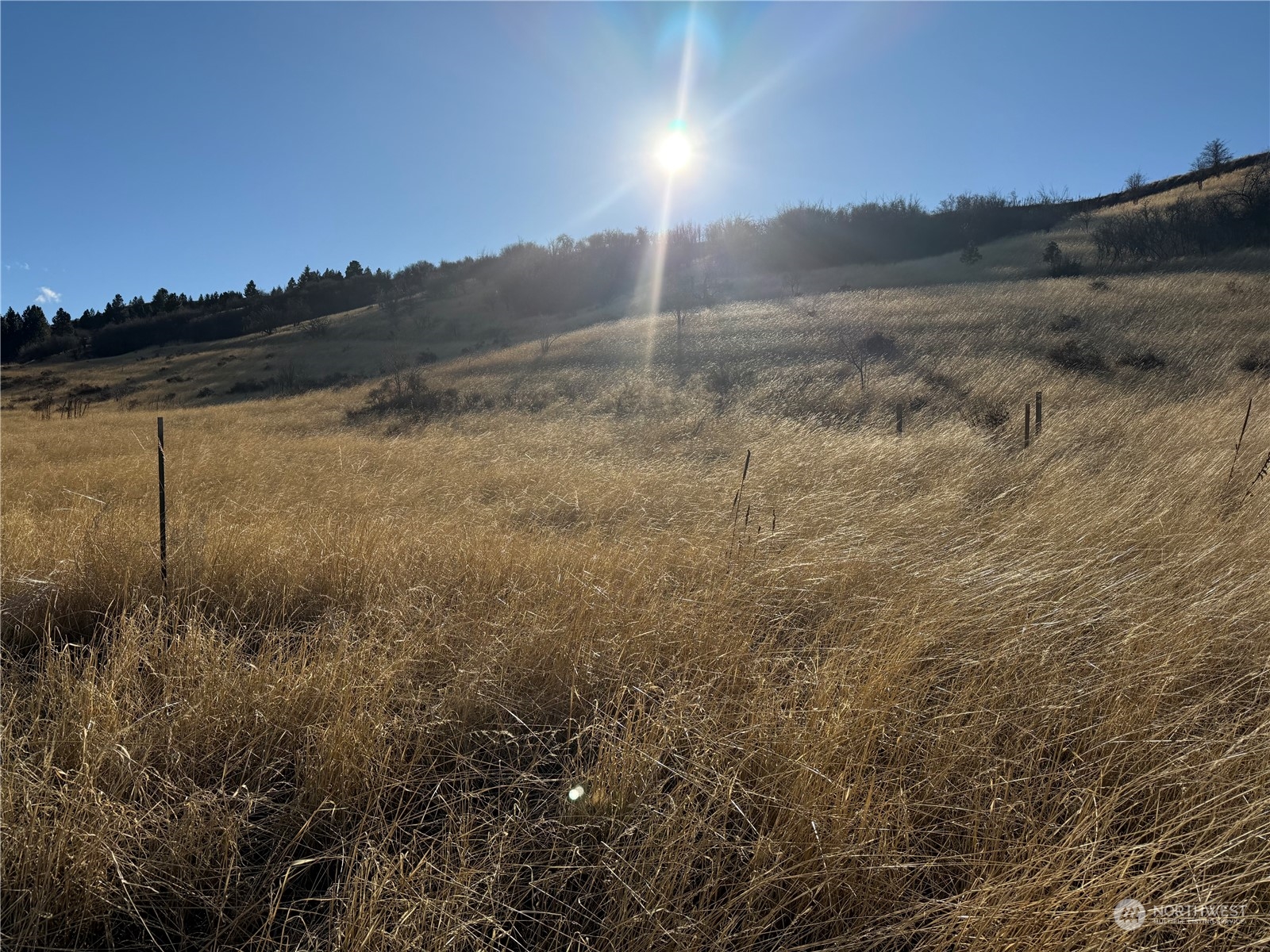 -tbd Tbd Ring Canyon Road Dayton, WA 99328 - Photo 15 of 17 Gallery Image 15