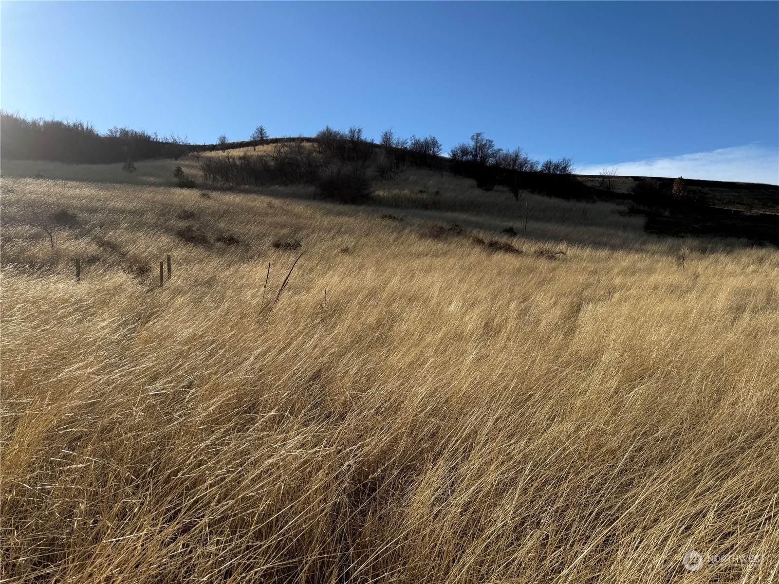 -tbd Tbd Ring Canyon Road Dayton, WA 99328 - Photo 16 of 17 Gallery Image 16