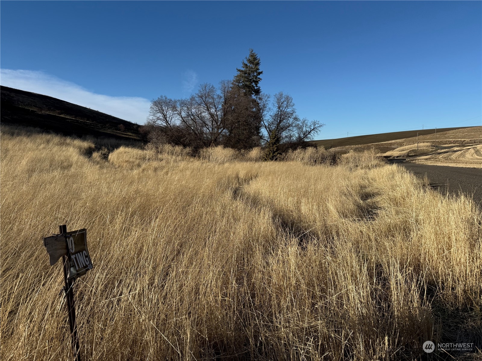 -tbd Tbd Ring Canyon Road Dayton, WA 99328 - Photo 17 of 17 Gallery Image 17