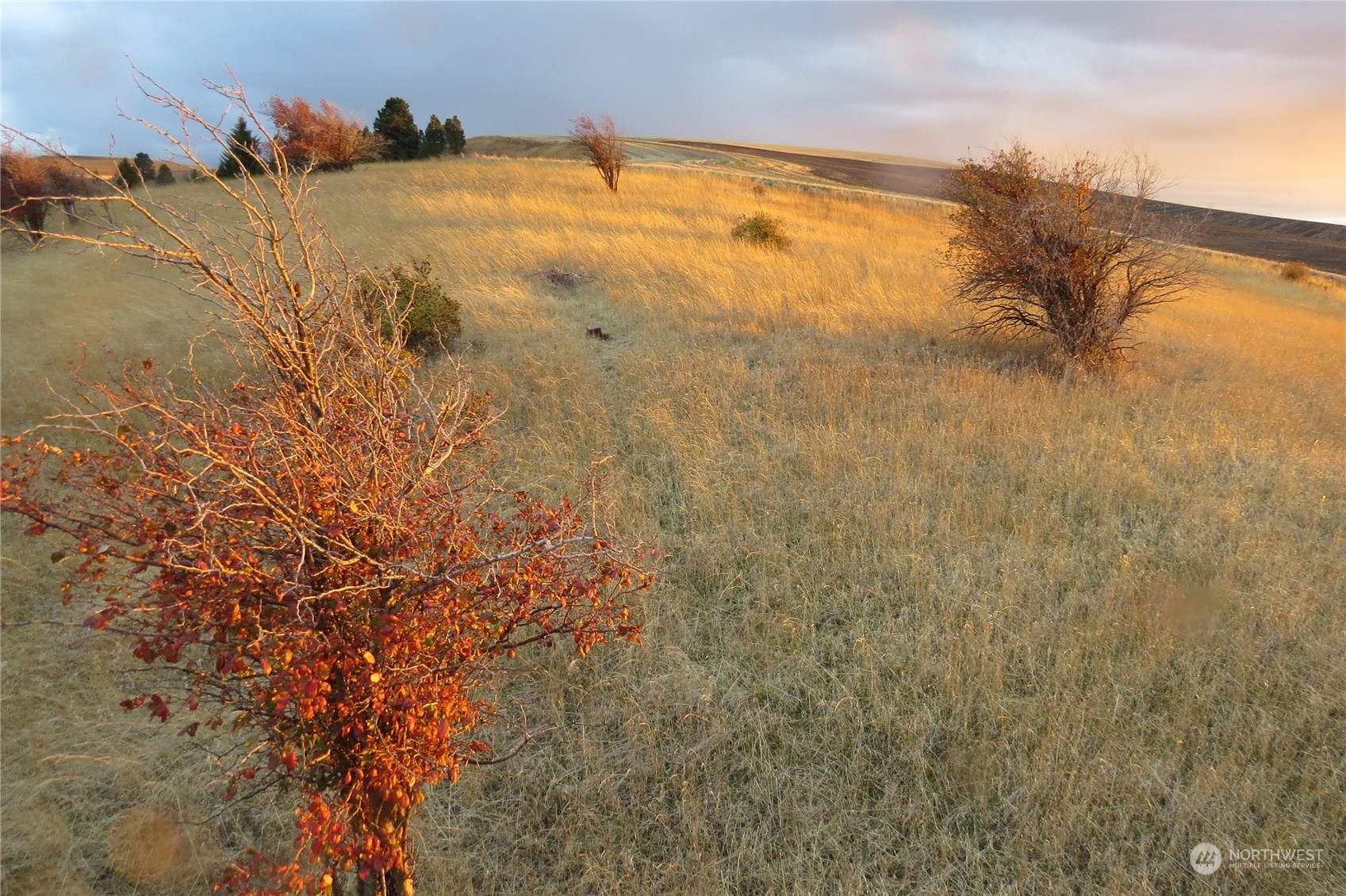 -tbd Tbd Ring Canyon Road Dayton, WA 99328 - Photo 3 of 17 Gallery Image 3