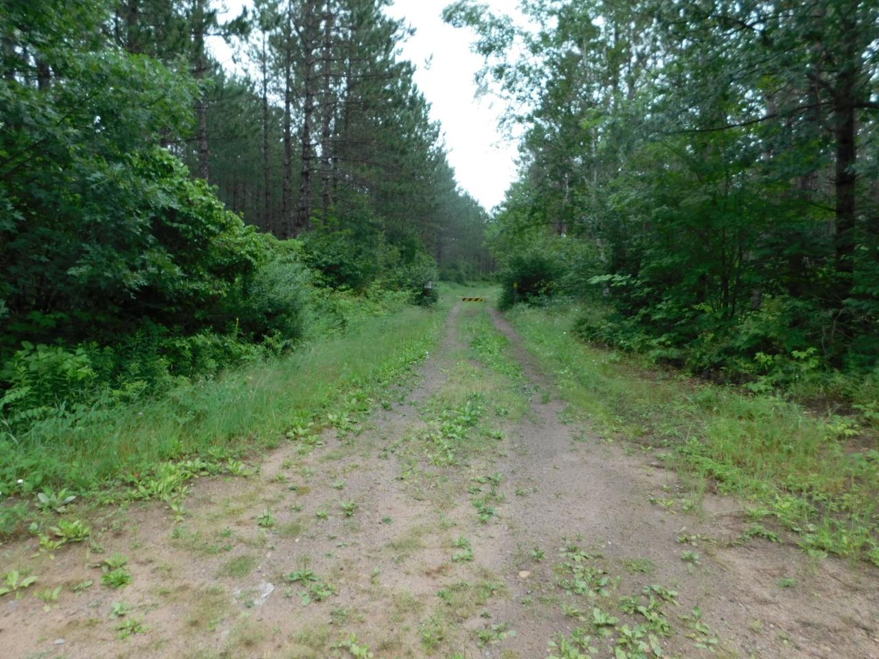 Lot 3 Brown Creek Rhinelander, WI 54501 - Photo 1 of 7 Gallery Image 1