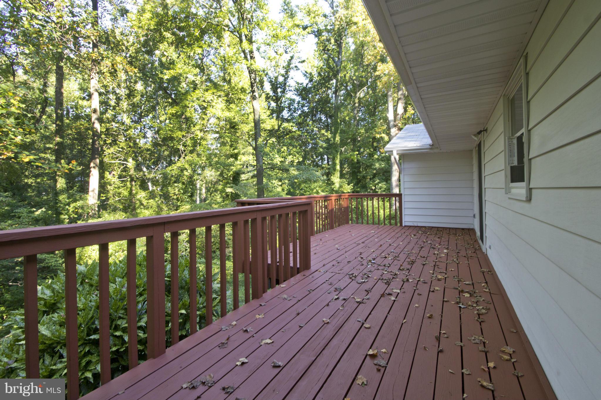 110 Church Road Arnold, MD 21012 - Photo 4 of 14 Exterior (Rear)