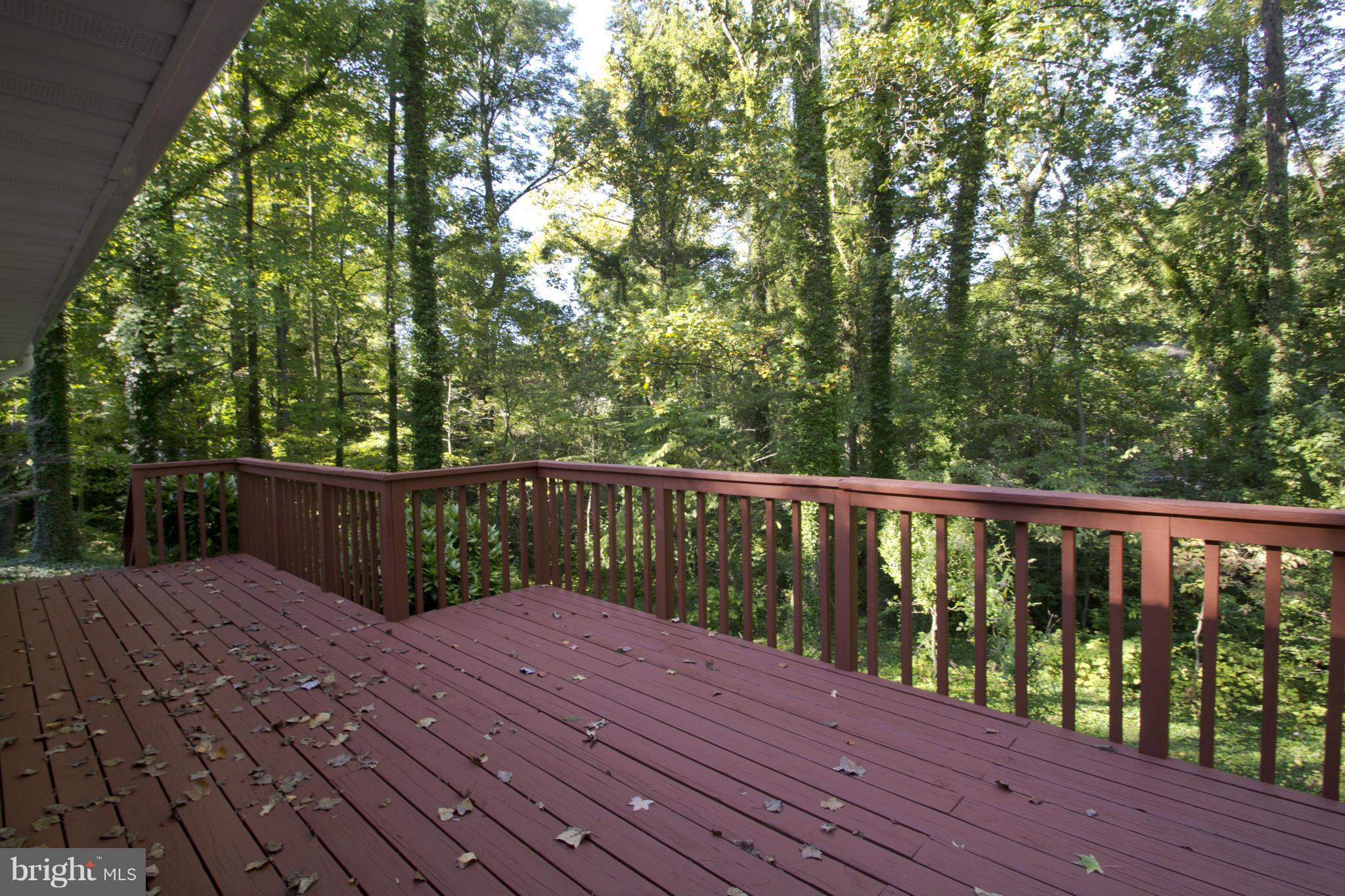 110 Church Road Arnold, MD 21012 - Photo 5 of 14 Exterior (Rear)