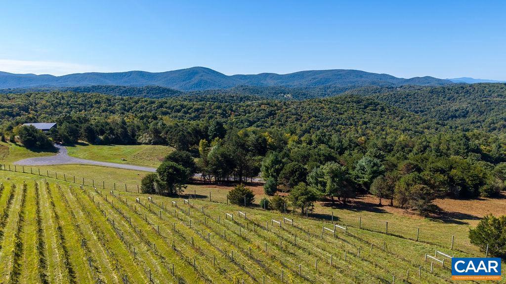 Lot 2 Twelve Rdgs Way, Unit 2 Vesuvius, VA 24483 - Photo 11 of 18 Gallery Image 11