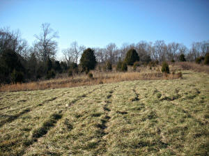 625 Murry Holt Road Bedford, IN 47421 - Photo 8 of 15