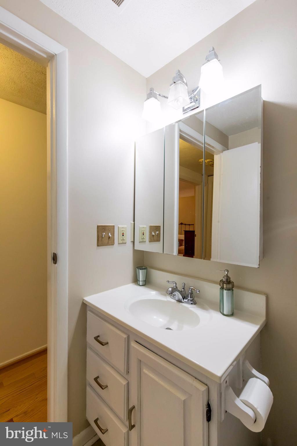 12255 Turkey Wing Court Reston, VA 20191 - Photo 23 of 30 a bathroom with a sink and a mirror