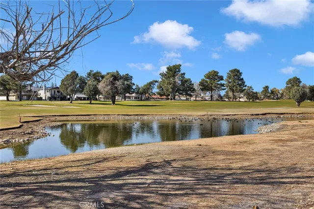 a view of a lake with a beach