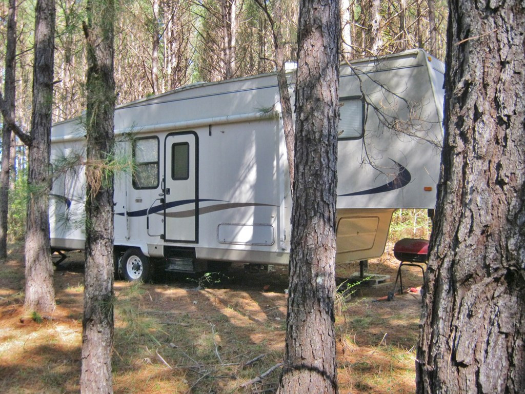 322 Nell Lambert Road Jayess, MS 39641 - Photo 8 of 18 Photo 8