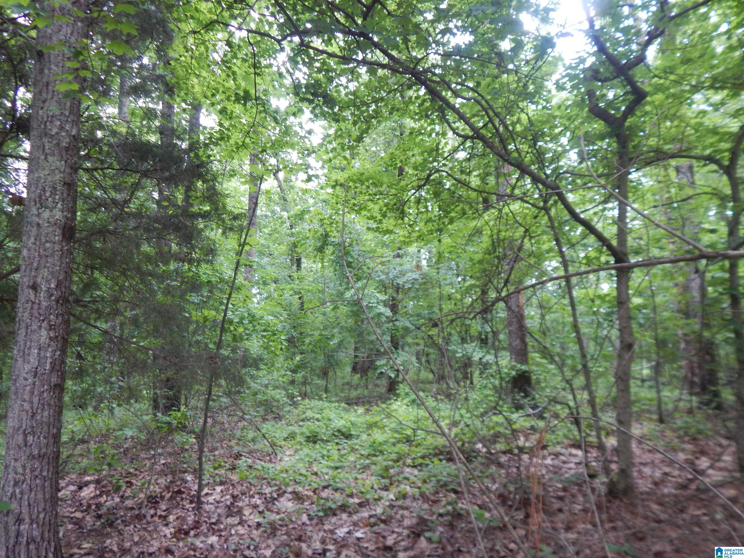 474 Caffee Creek Road Woodstock, AL 35188 - Photo 15 of 21