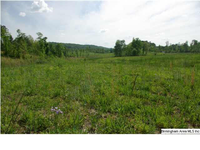 Shoal Creek Road, Unit 56 Ashville, AL 35953 - Photo 17 of 21