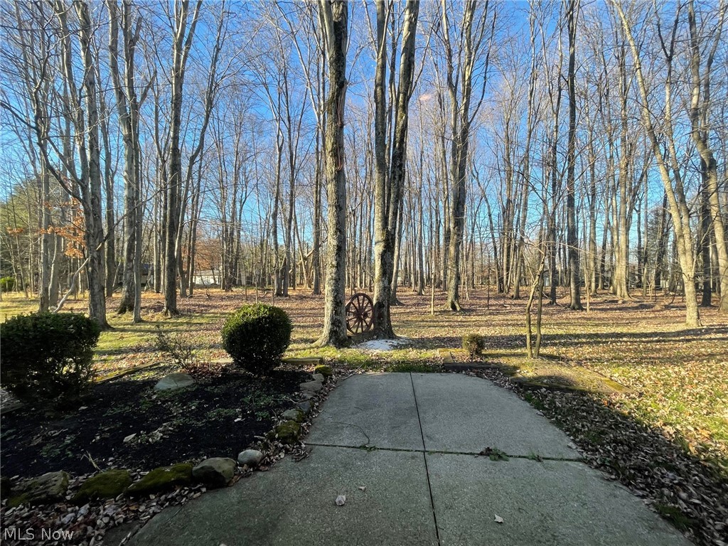 17100 Ridge Creek Road Strongsville, OH 44136 - Photo 18 of 20 Gallery Image 18